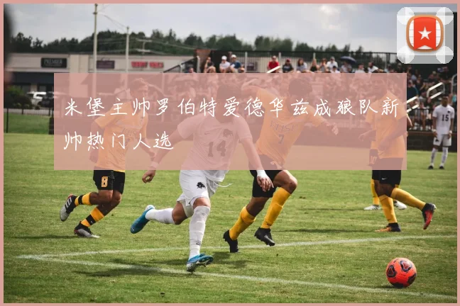 米堡主帅罗伯特爱德华兹成狼队新帅热门人选