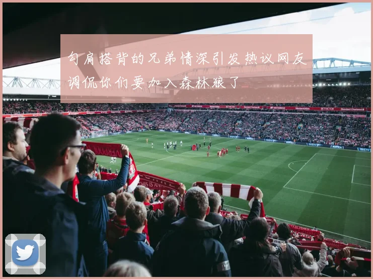 勾肩搭背的兄弟情深引发热议网友调侃你们要加入森林狼了