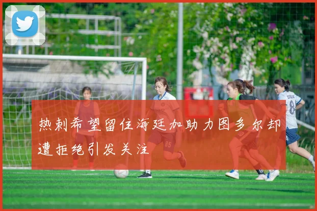 热刺希望留住海廷加助力图多尔却遭拒绝引发关注