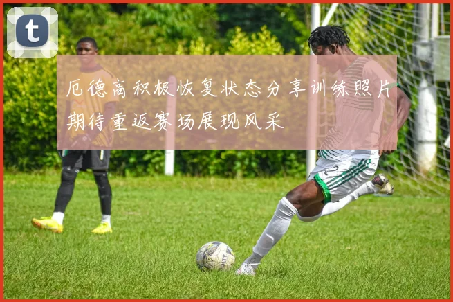 厄德高积极恢复状态分享训练照片期待重返赛场展现风采