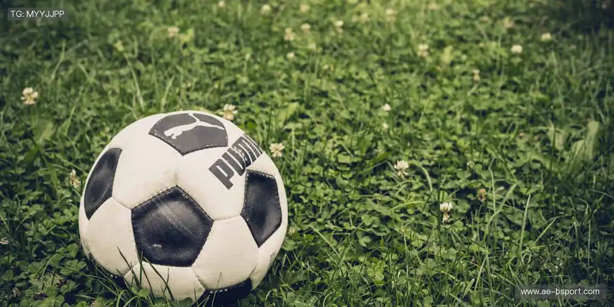 球迷专属,用细节传递热爱🎯❤️